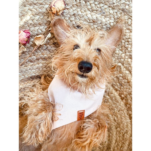 Handmade dog bandana "Lovely in Pink" Valentines day edition - Picture 1 of 8